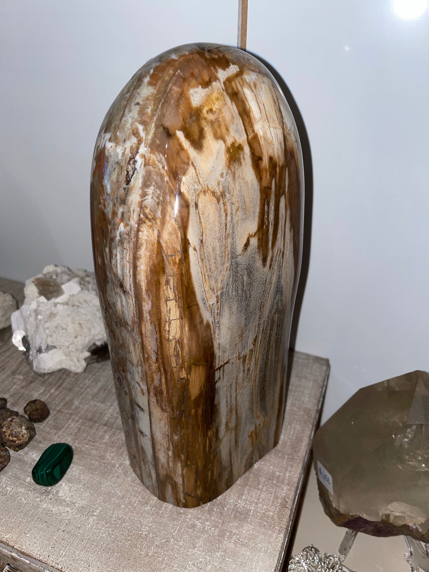 Rare Ocean Jasper and Petrified Wood Statement Piece