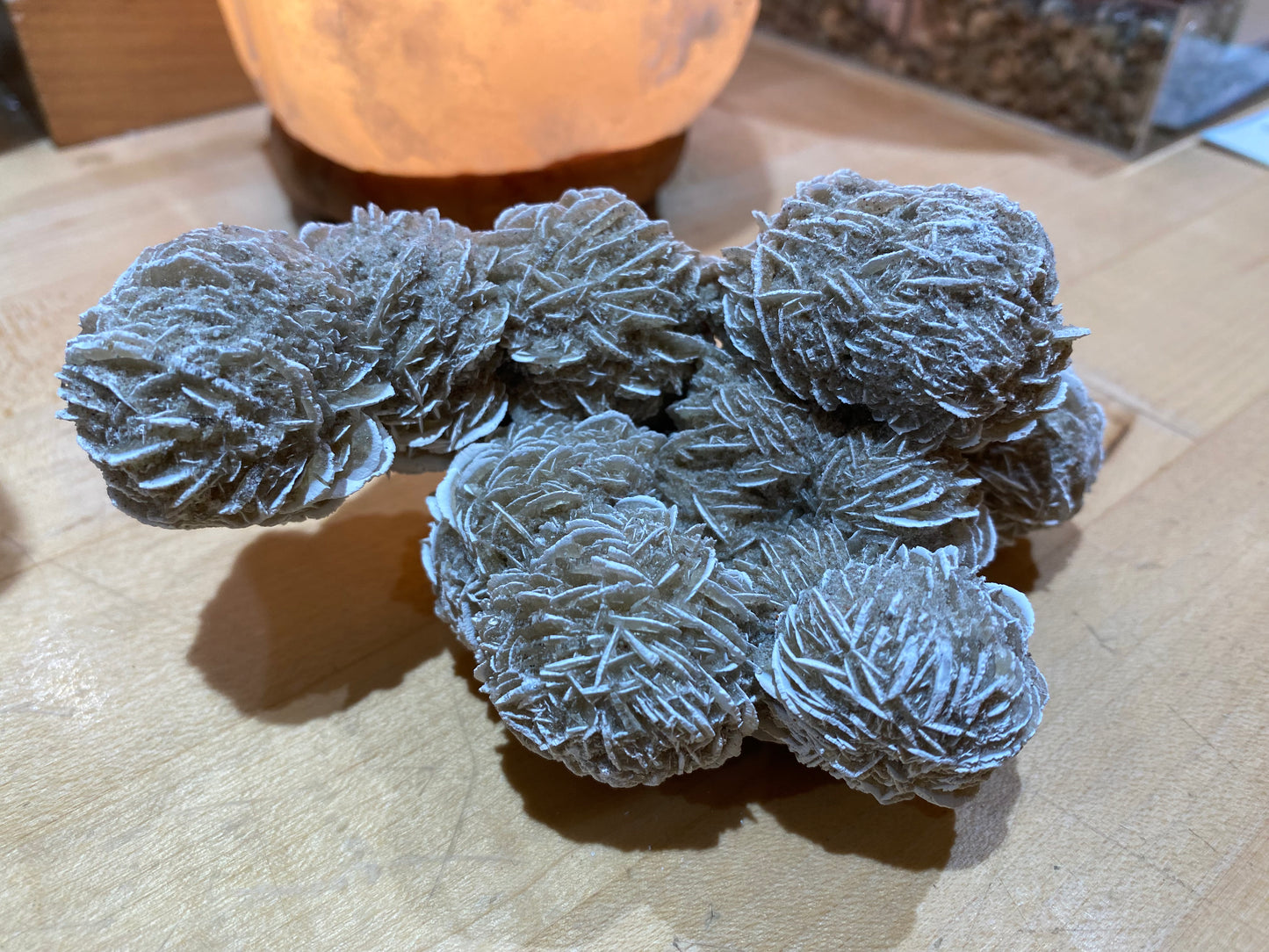 Desert Rose Selenite Cluster