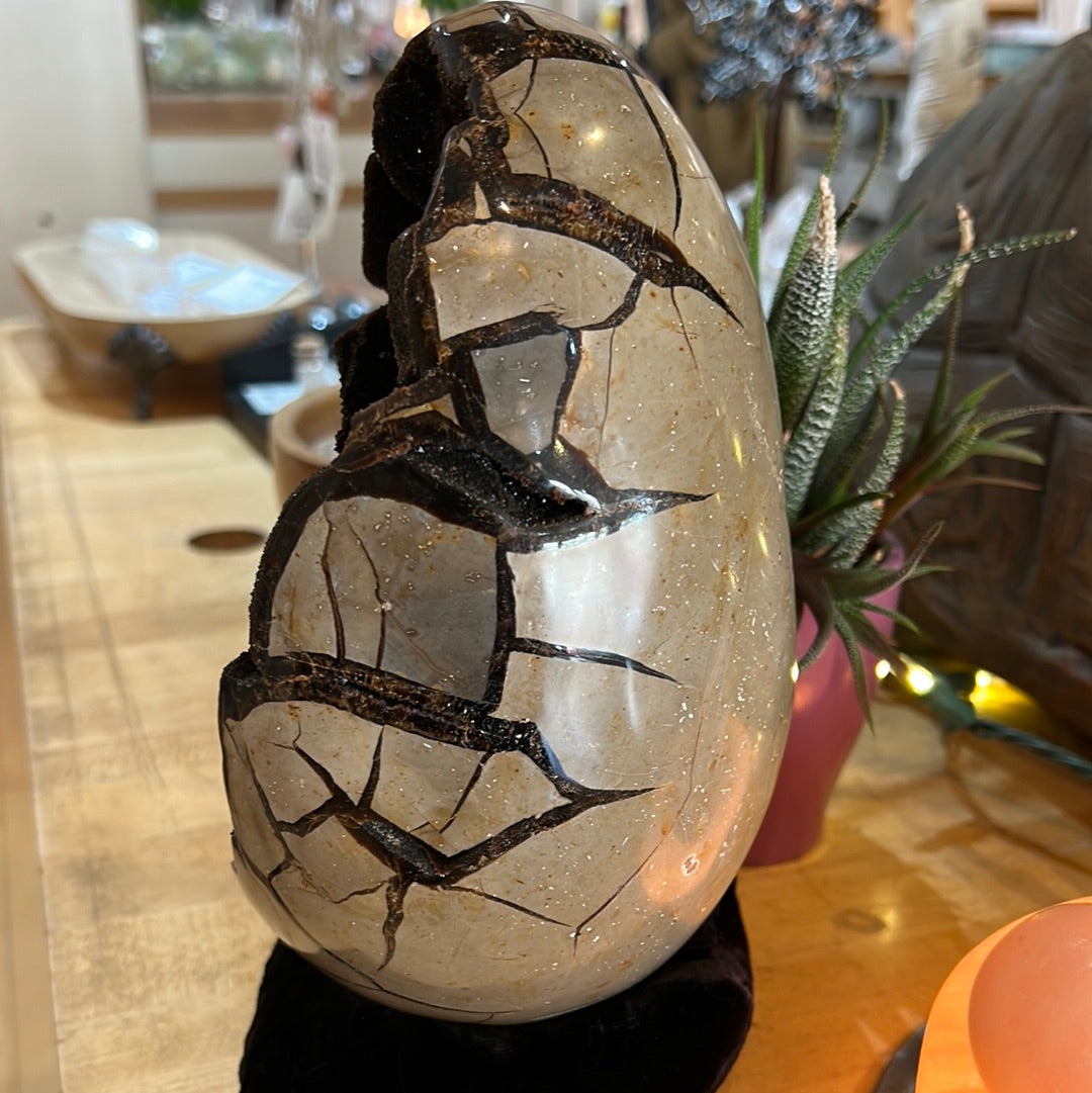 Septarian Egg