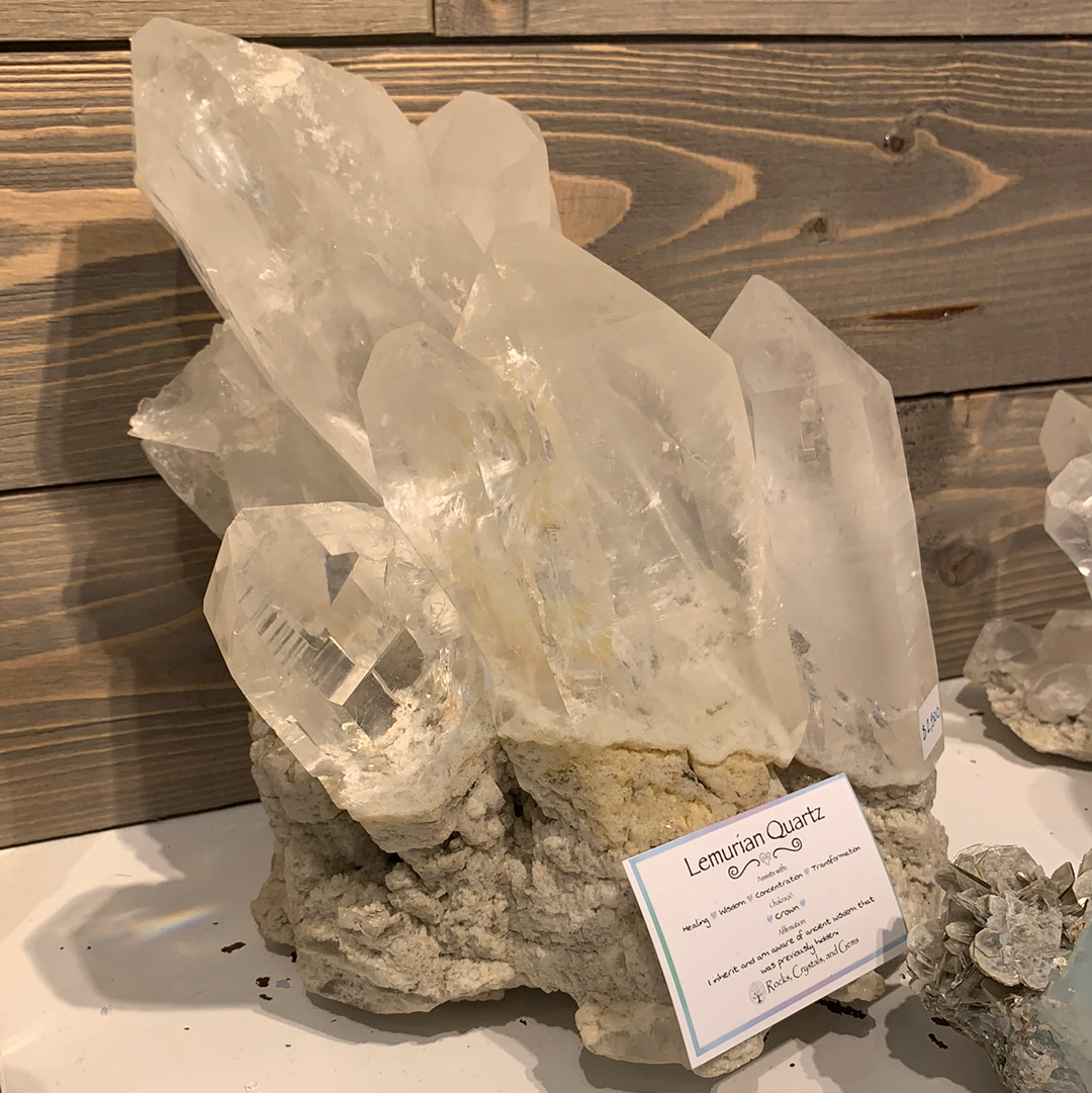 Lemurian Collection Cluster