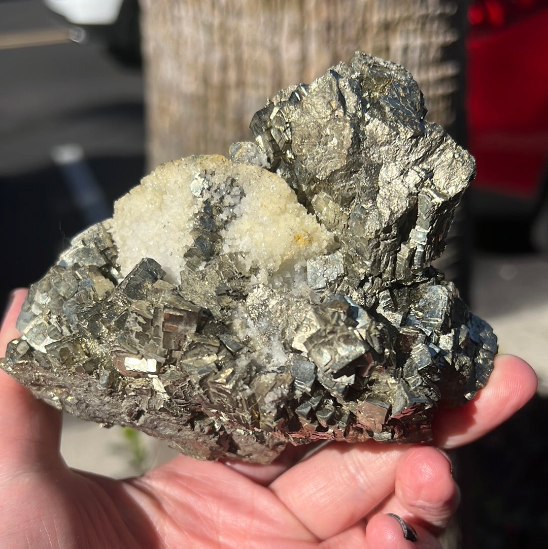 Moroccan Pyrite Cluster