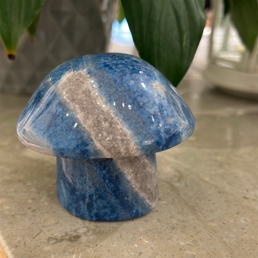 Trolleite Mushroom
