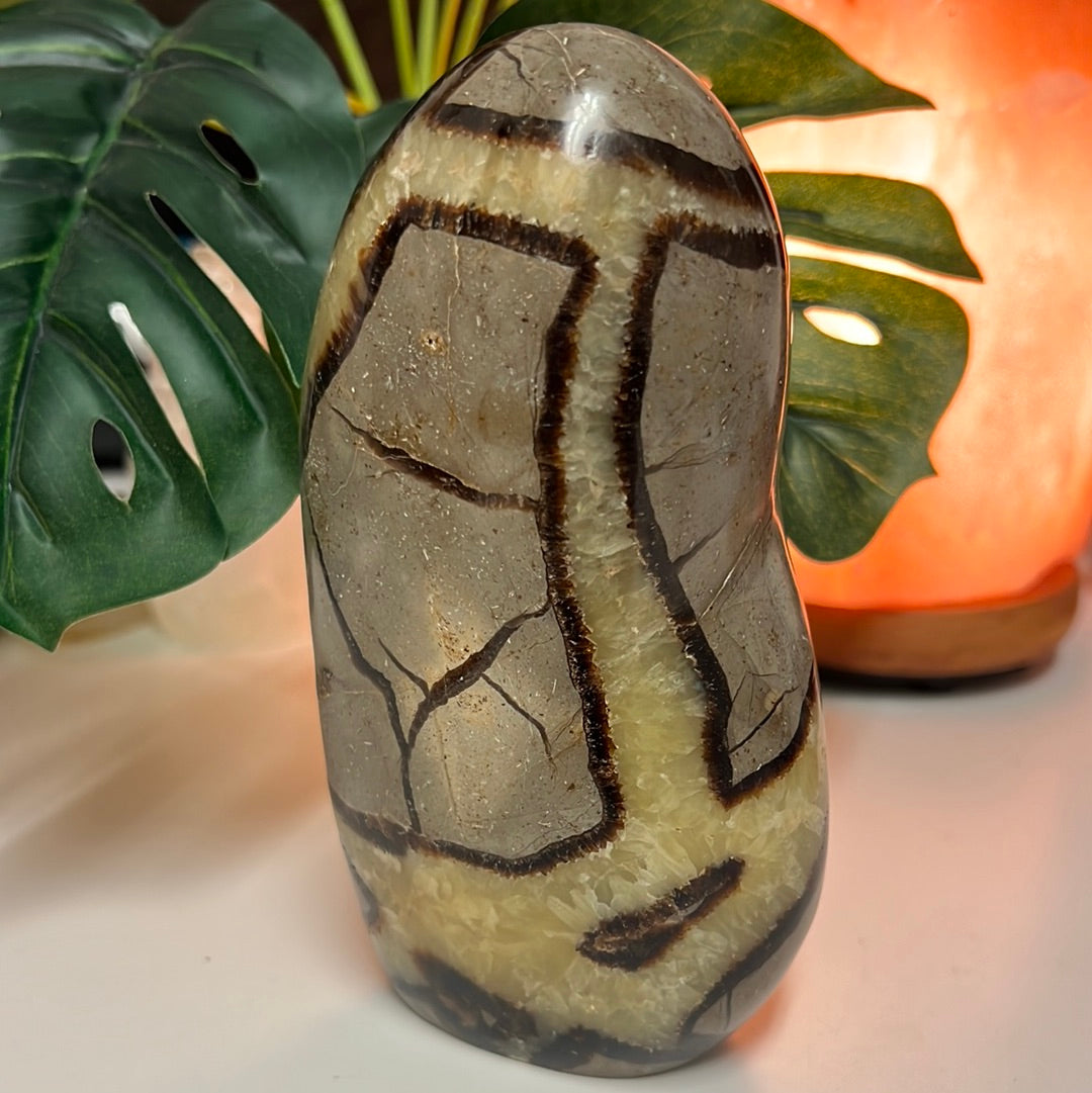 Septarian Freeform