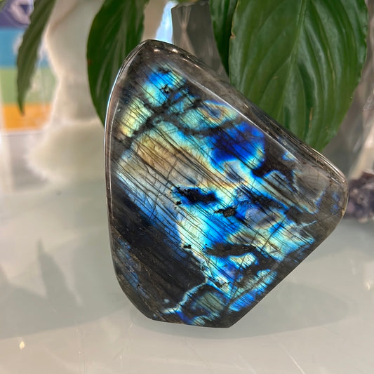 Labradorite Freeform