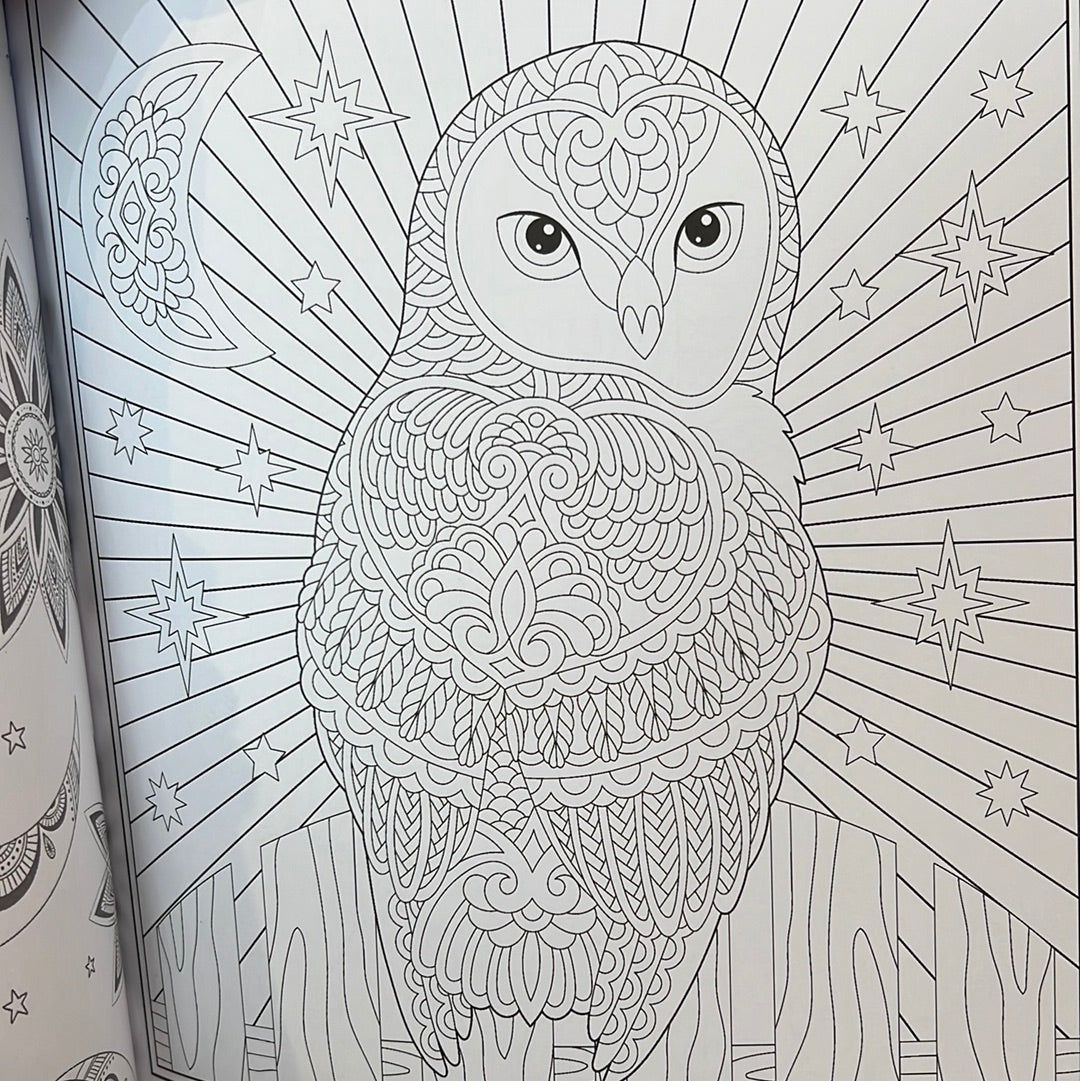 Moon Magic Coloring Book