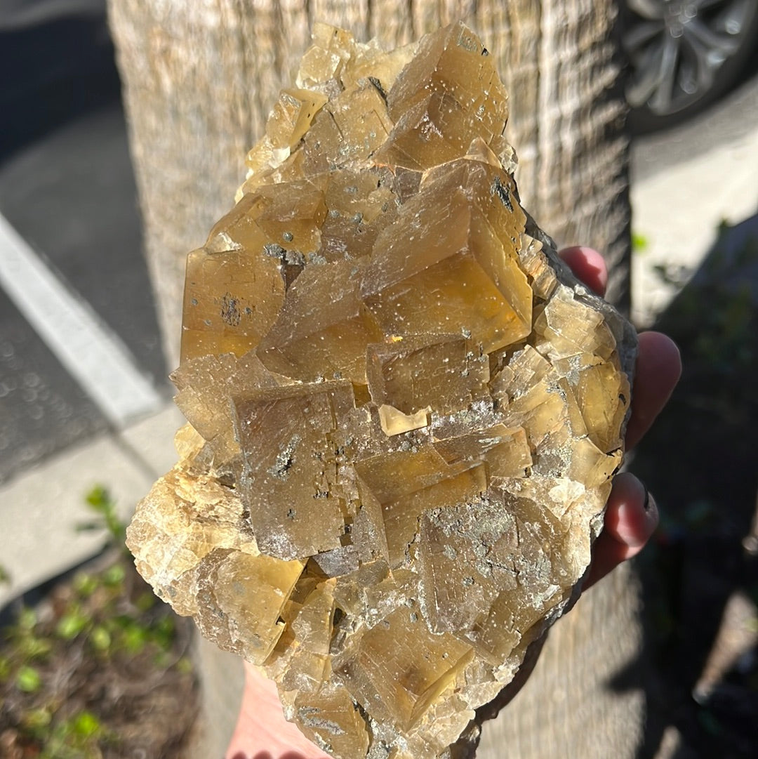 Yellow Fluorite With Pyrite