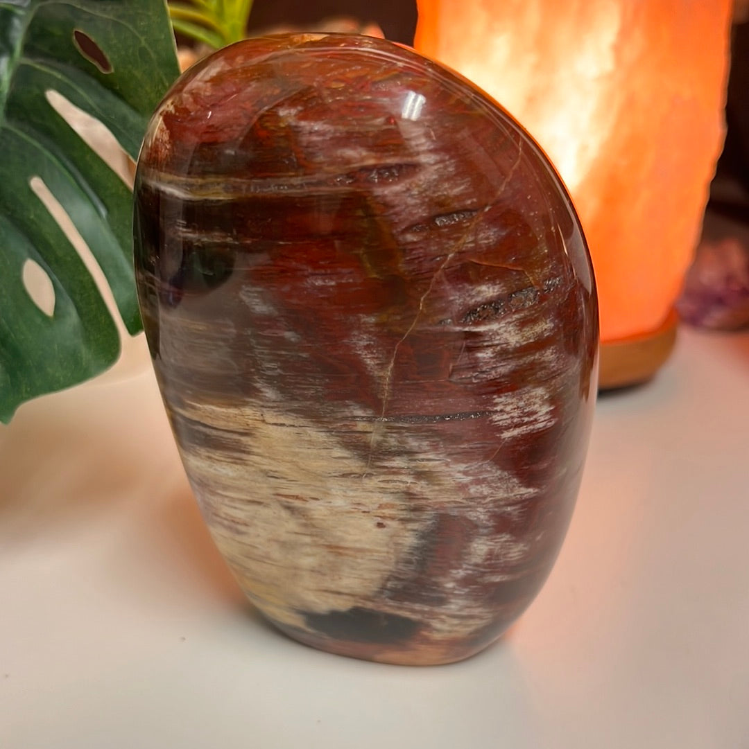 Petrified Wood Free Form