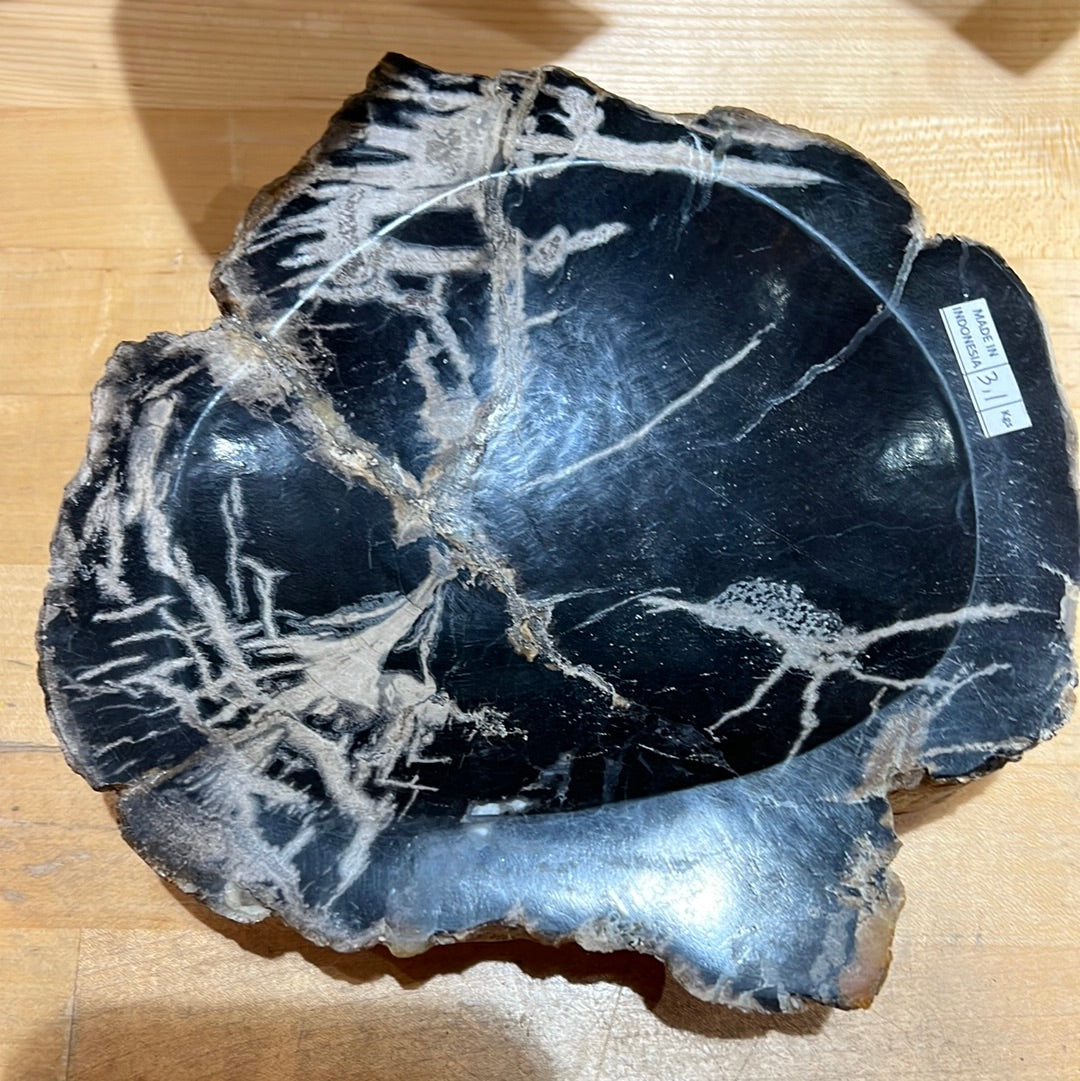 Petrified Wood Bowl