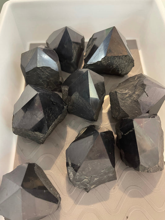 Shungite Power Points