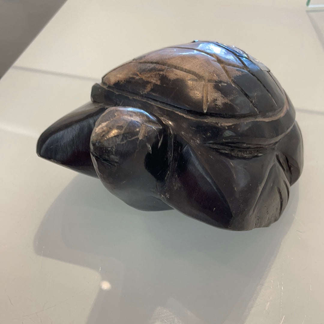Petrified Wood Turtle