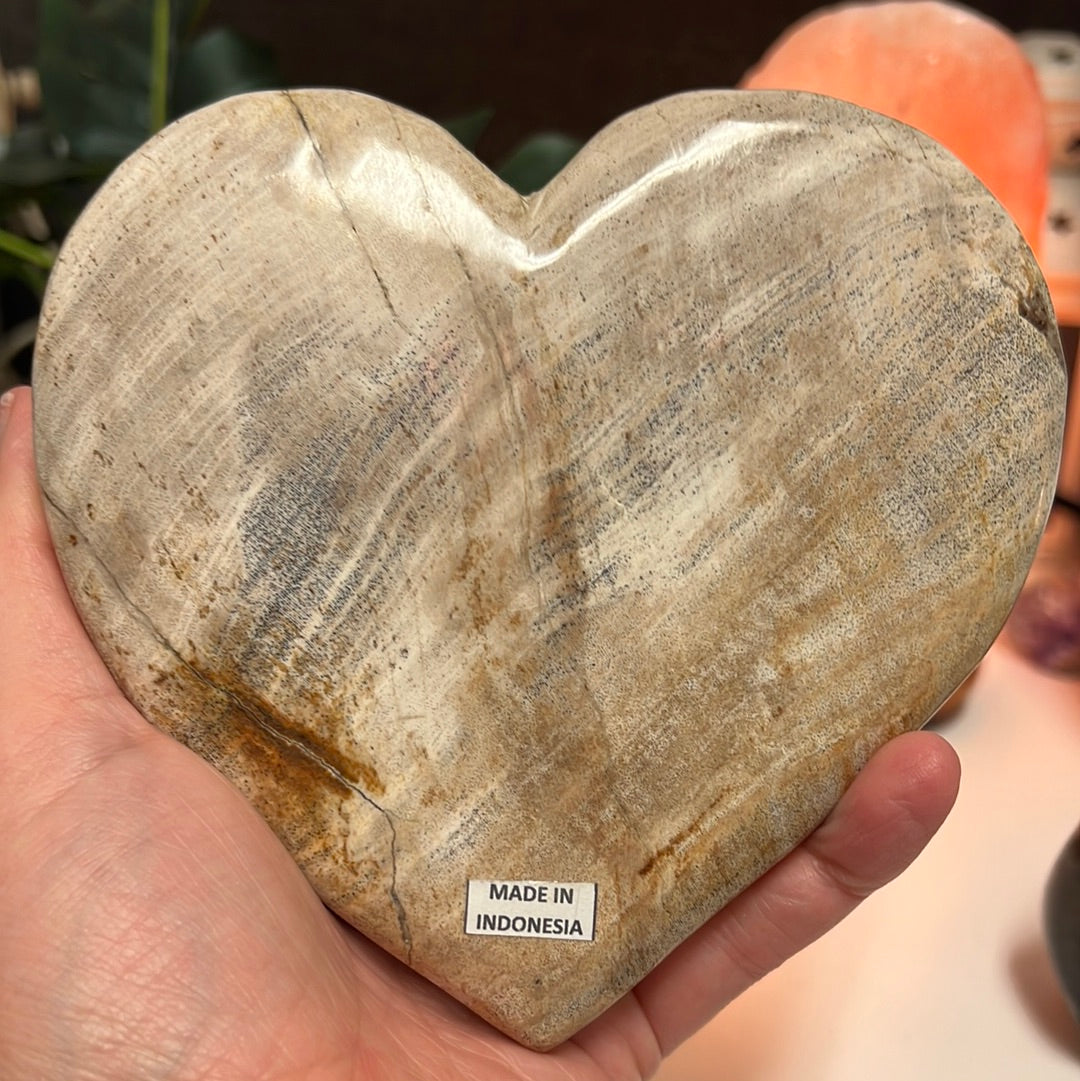 Petrified Wood Heart