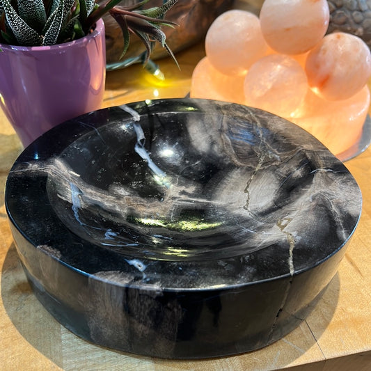 Petrified Wood Bowl