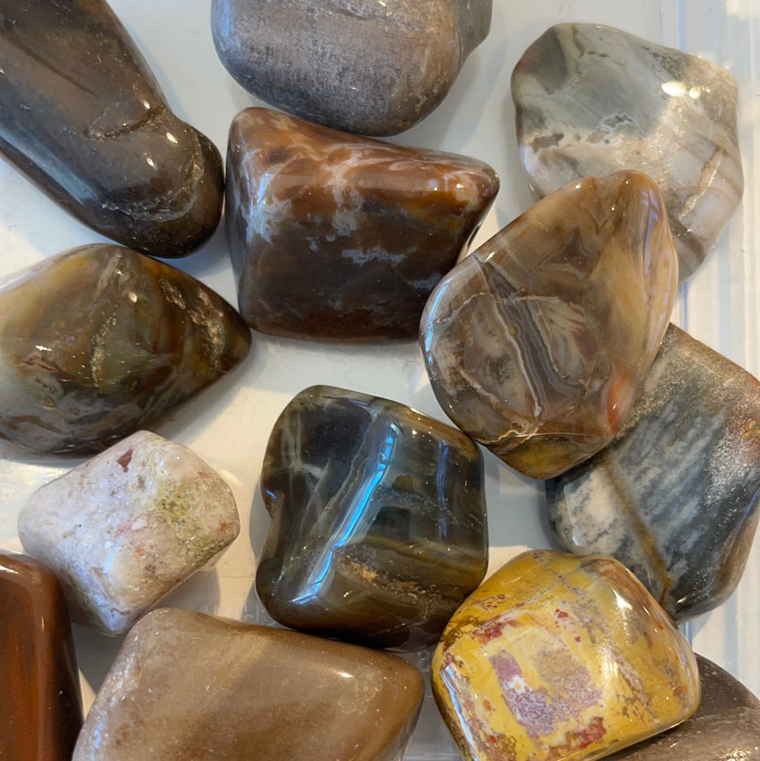 Petrified Wood Tumble