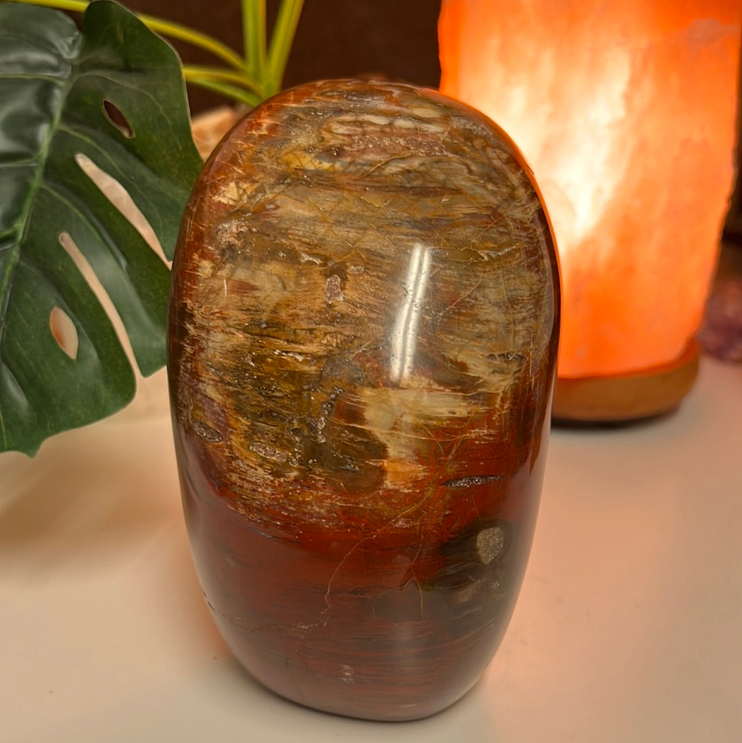 Petrified Wood Free Form