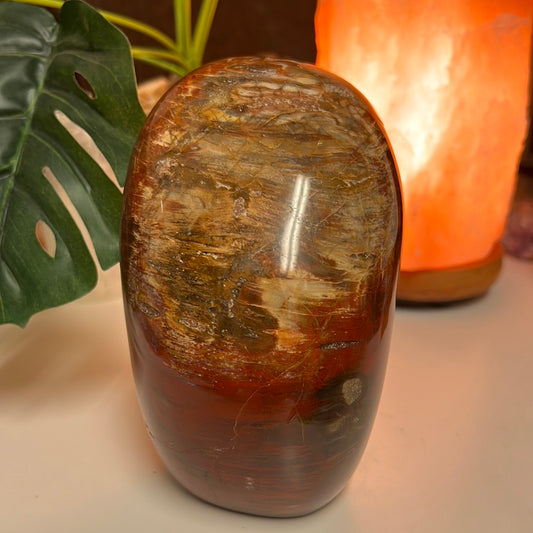 Petrified Wood Free Form