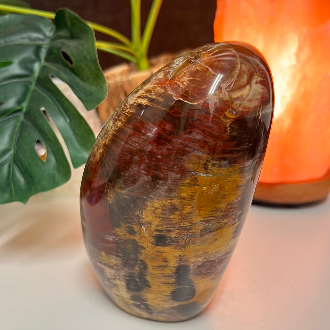 Petrified Wood Free Form
