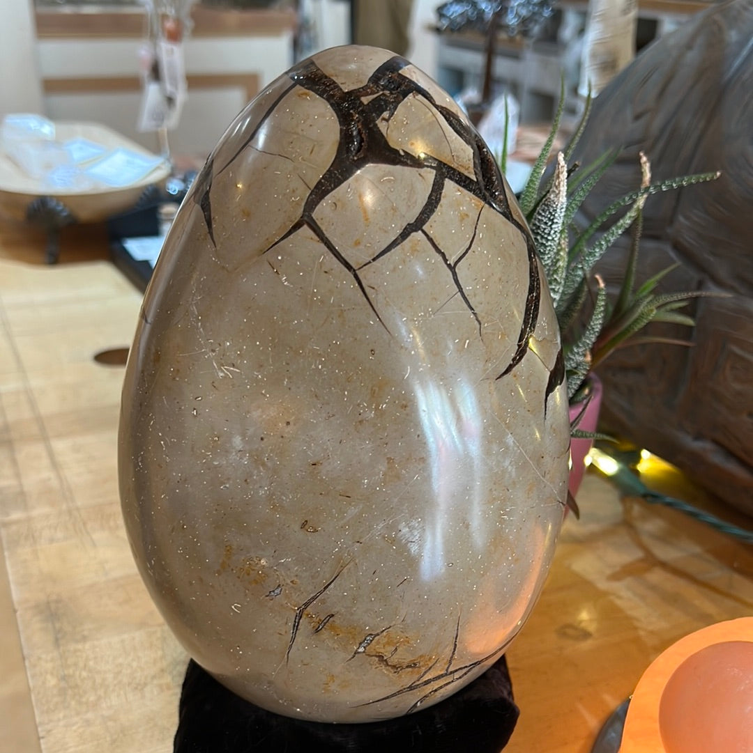 Septarian Egg