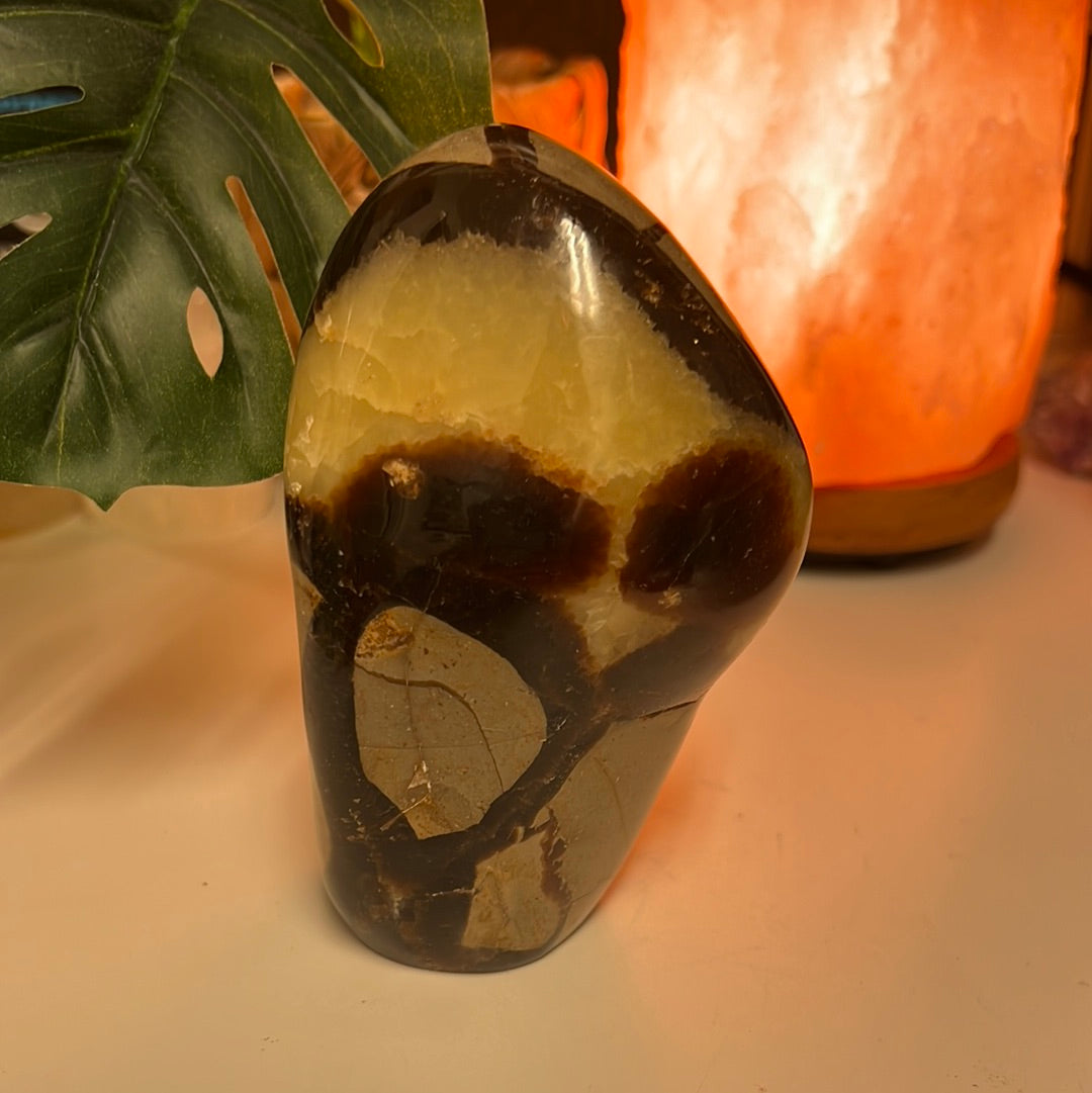 Septarian Freeform