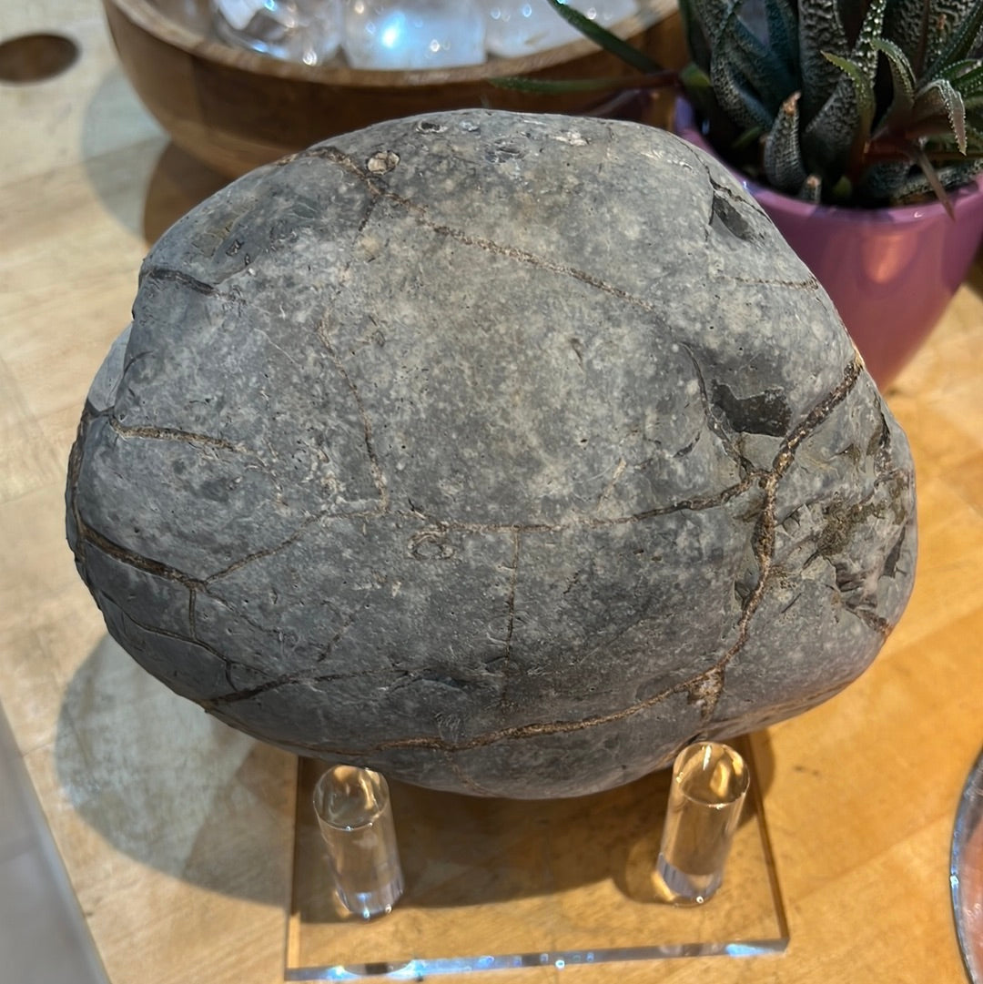 Raw Septarian Display Piece