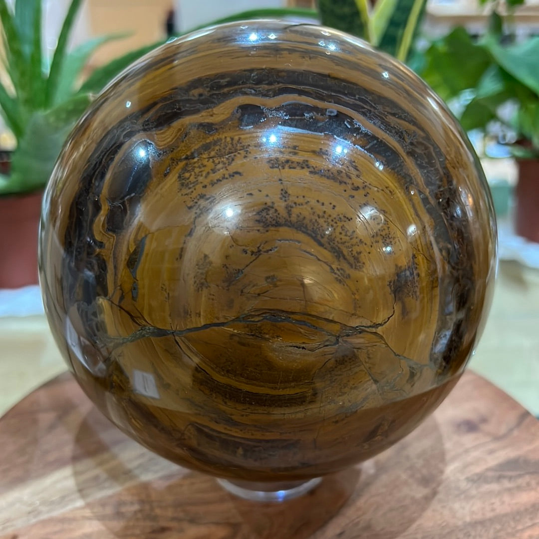 Large Tigers Eye Sphere