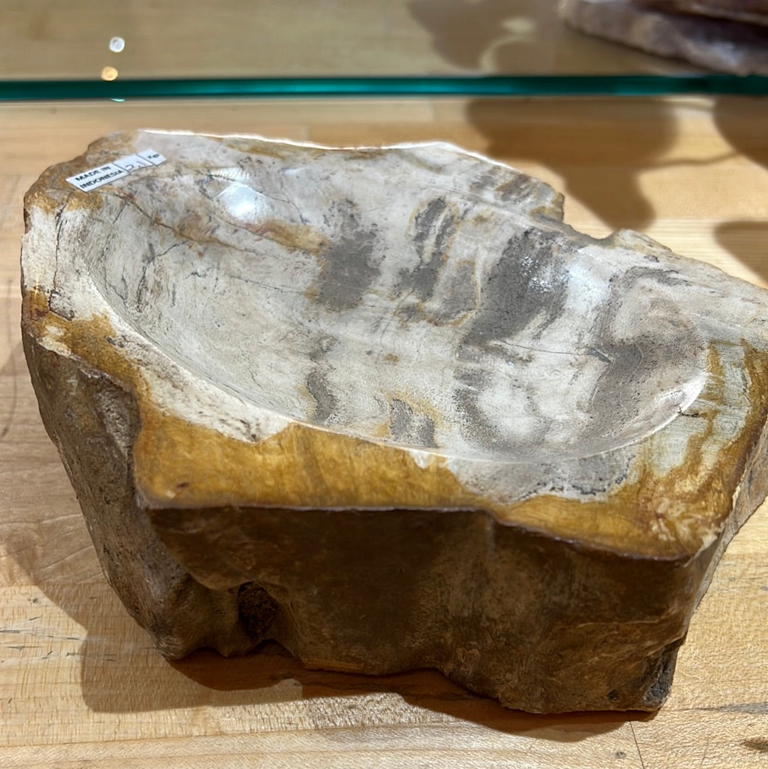 Petrified Wood Bowl