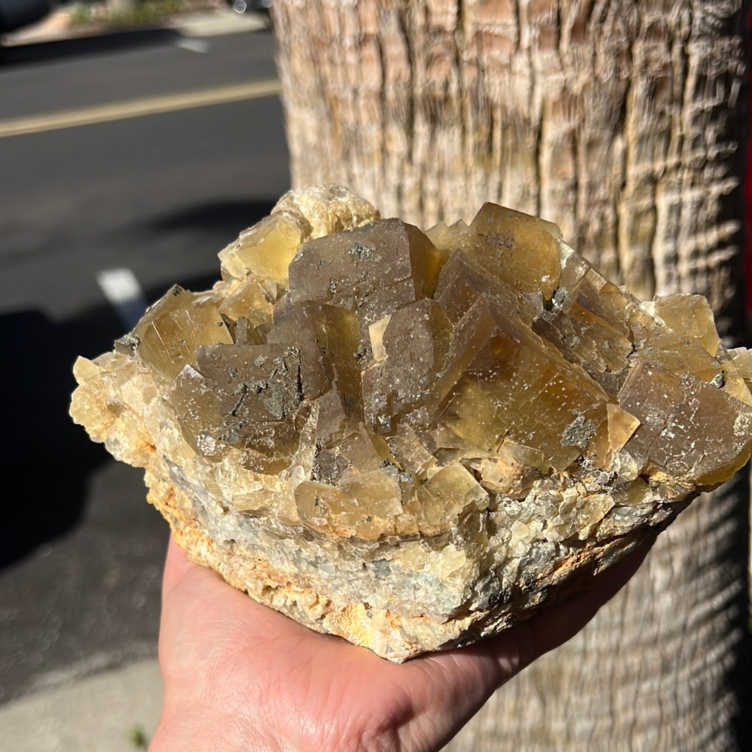 Yellow Fluorite With Pyrite
