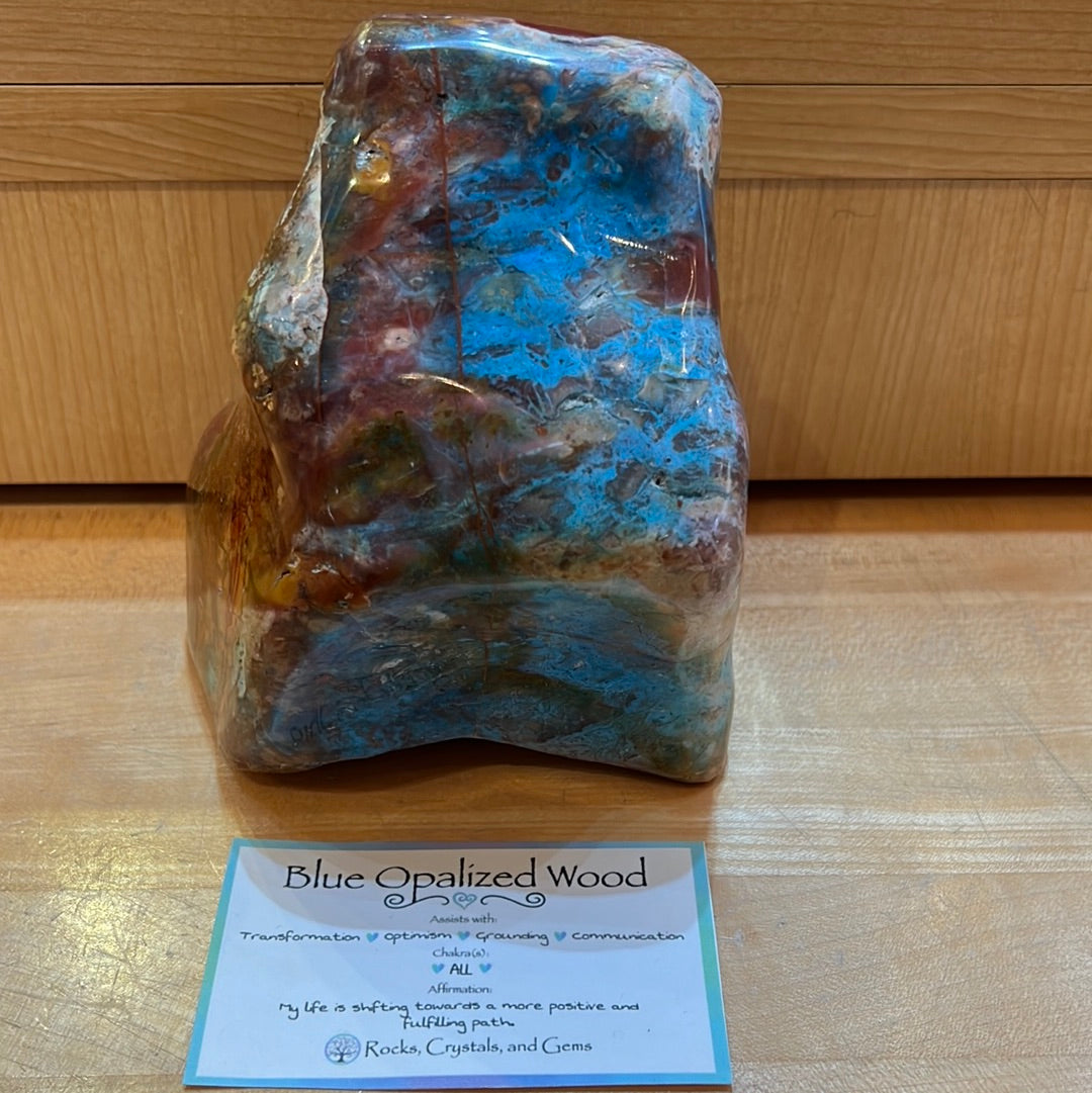 Rare Blue Opalized Petrified Wood With Chrysocolla From Indonesia