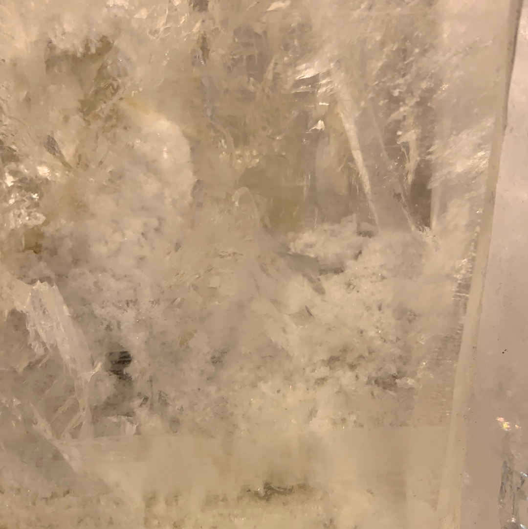 Lemurian Collection Cluster