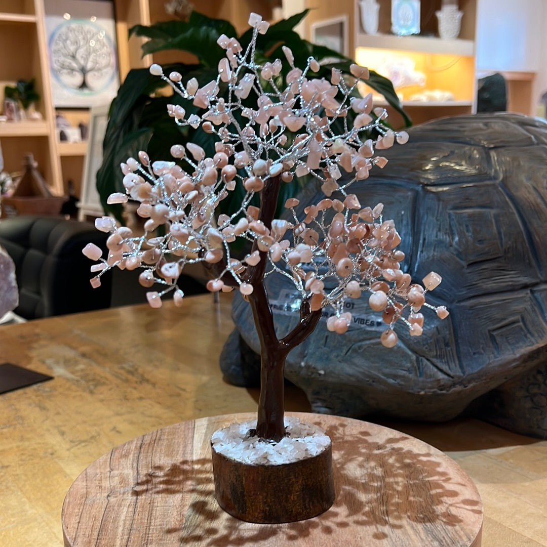 Peach Moonstone Tree